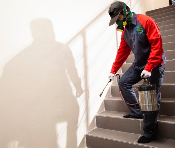 Residual Spray